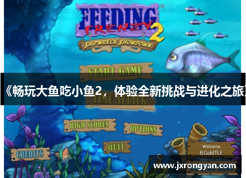 《畅玩大鱼吃小鱼2，体验全新挑战与进化之旅》
