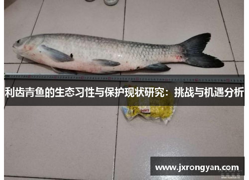 利齿青鱼的生态习性与保护现状研究：挑战与机遇分析